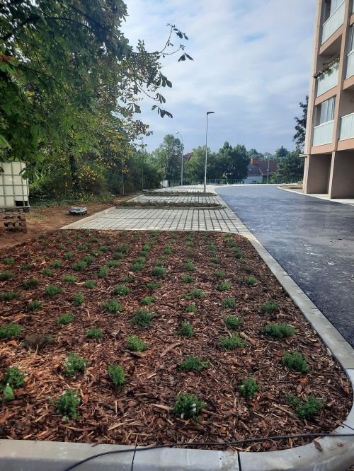 457179673_911607920997465_8038911945261580176_n 457179673_911607920997465_8038911945261580176_n