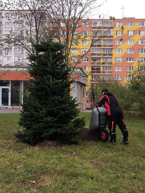 467728091_978543797637210_3593388463336922979_n