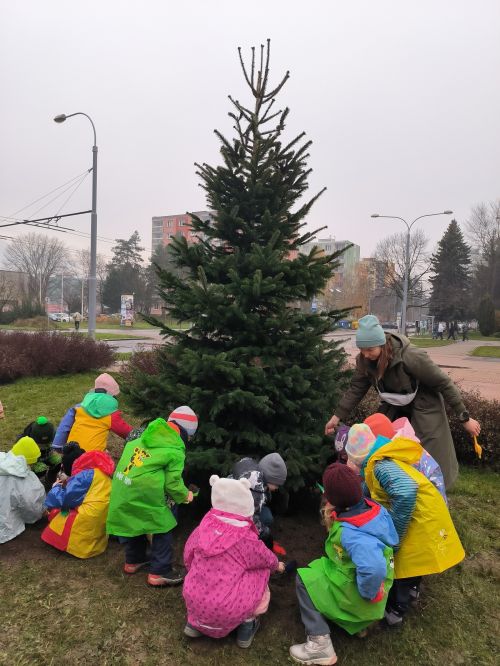 468284960_978543807637209_8044286900382986668_n