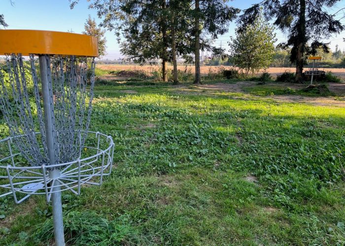 Discgolf
