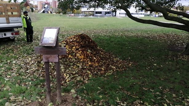 Ježci 1_Škodaland Ježci 1_Škodaland