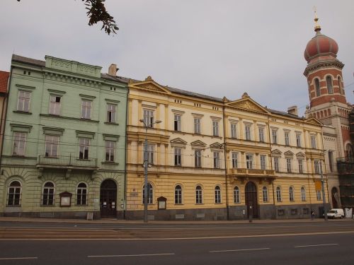 P1011384-1 P1011384-1