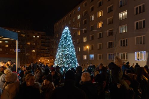 Skvrnany15 Skvrnany15